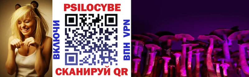 Галлюциногенные грибы мухоморы  Пудож 